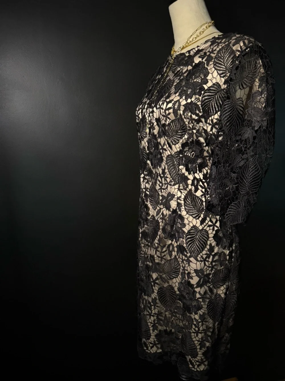 Elegant Black Lace Sheath Dress with Nude Lining - Picture 5 of 7